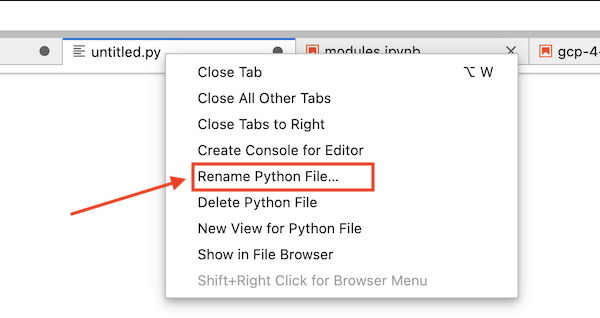 Renaming a Python file in JupyterLab.