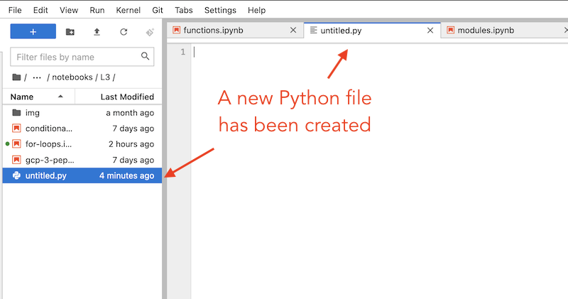 Our new Python file in JupyterLab.